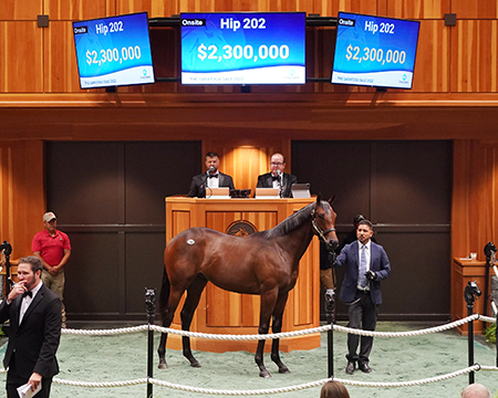 Fasig's top lot: by Gun Runner cost $2,300,000 bought by White Birch Farm and M.V. Magnier 