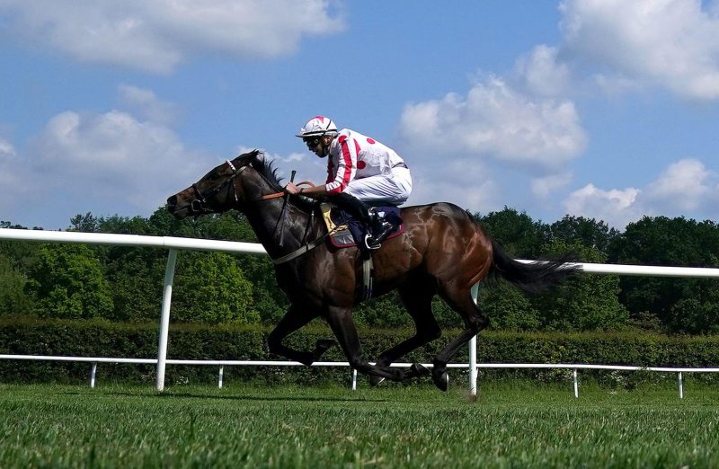 Adaay To Remember who is out of a mare by Sakhee's Secret
