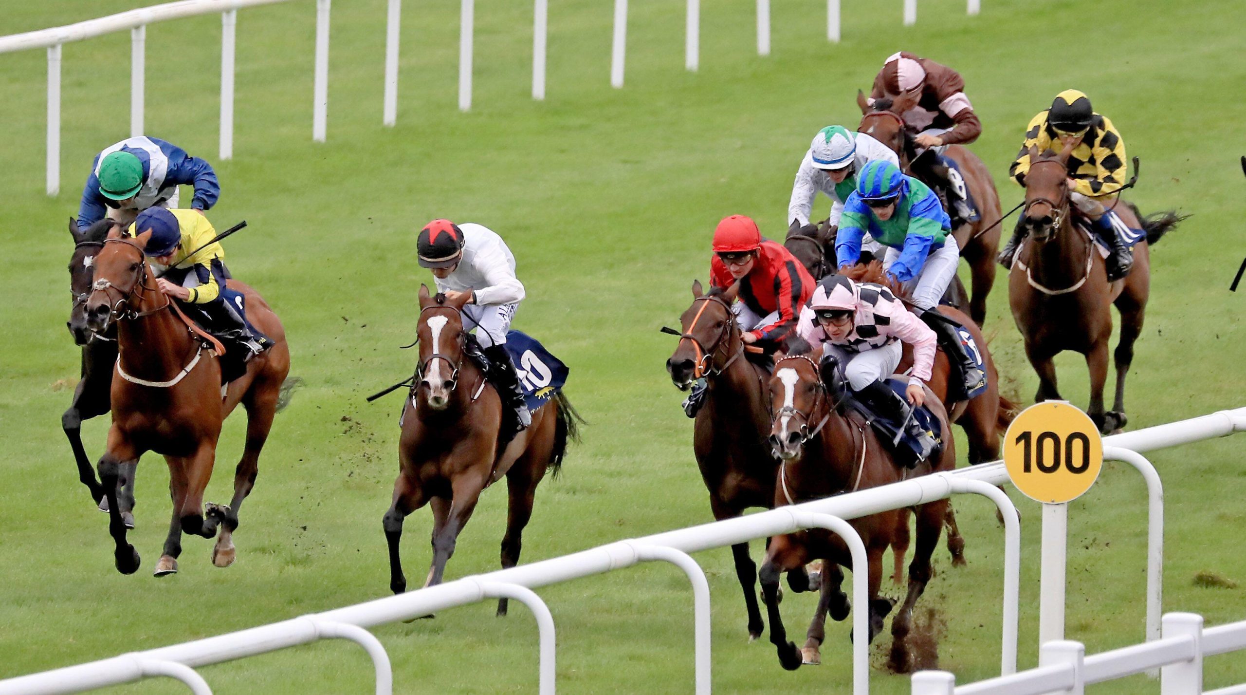 Streets of Gold ridden by Charlie Bishop out of Truly Honored by Frankel