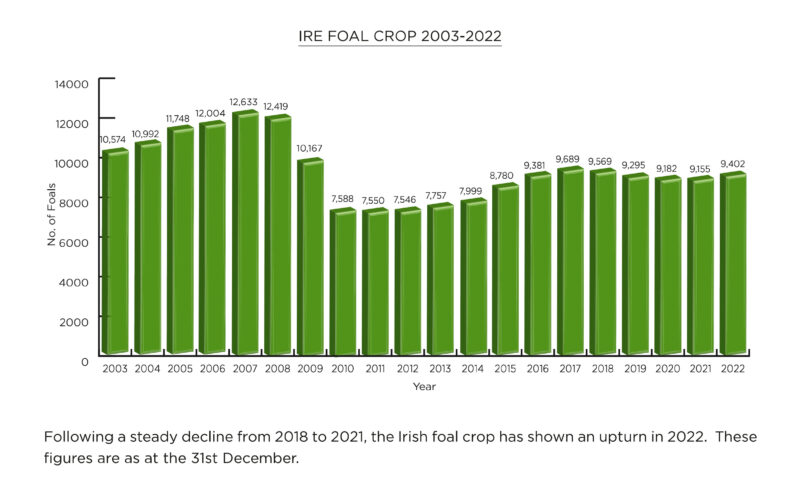 Weatherbys Fact Book 2023: Irish foal crop since 2003